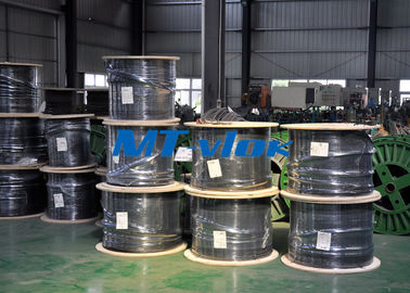 ASTM A269 TP316 / 316L Welded Multi - Core Coiled Stainless Tubing Bright Annealed