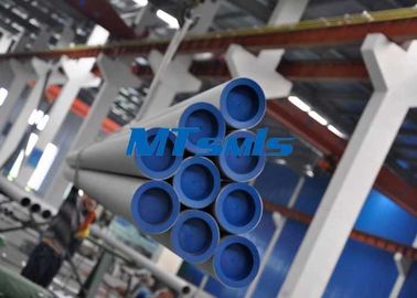 S30403 S31603 Stainless Steel Seamless Pipe Plain End for Chemistry / Building