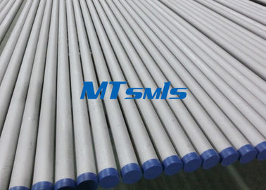 12 Inch Sch40 TP347 / 347H Austenitic Stainless Steel Seamless Pipe Plain End Cut