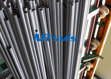 Annealed & Pickled Straight Heat Exchanger Tube ASTM A213 / ASTM SA213 TP316L / S31603